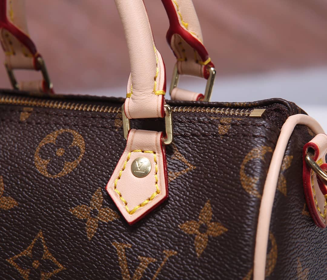Louis Vuitton Crossbody Dupe Nano Speedy Monogram Canvas M61252