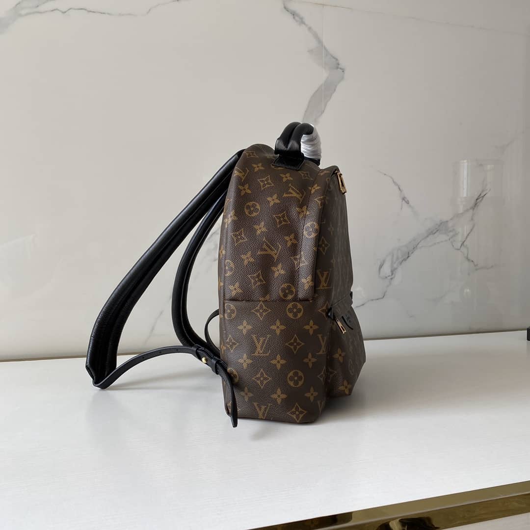 Louis Vuitton Monogram Canvas Palm Springs Replica Backpack MM M41561