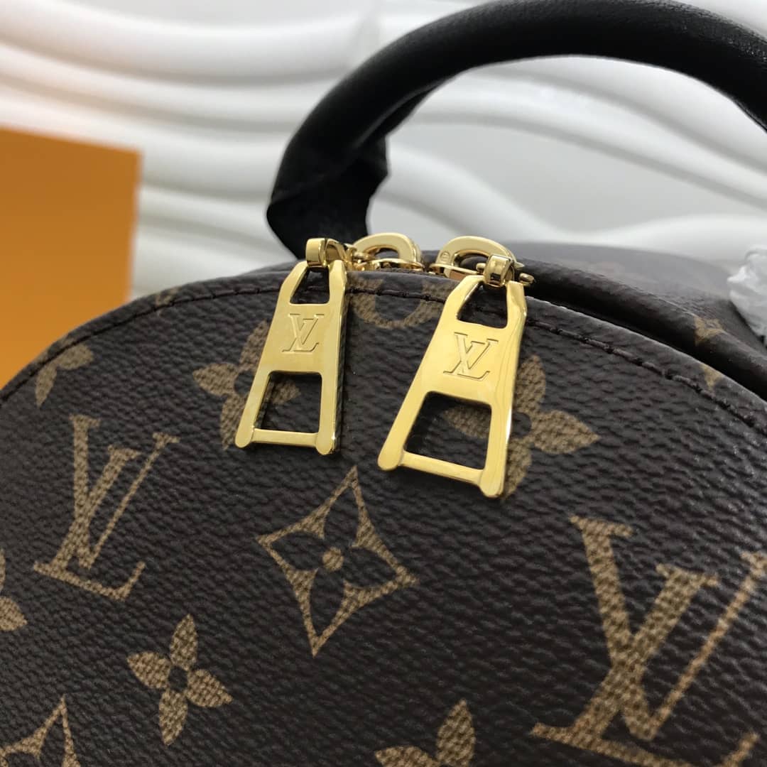 LV Backpack Replica  Palm Springs PM Monogram Reverse M44870