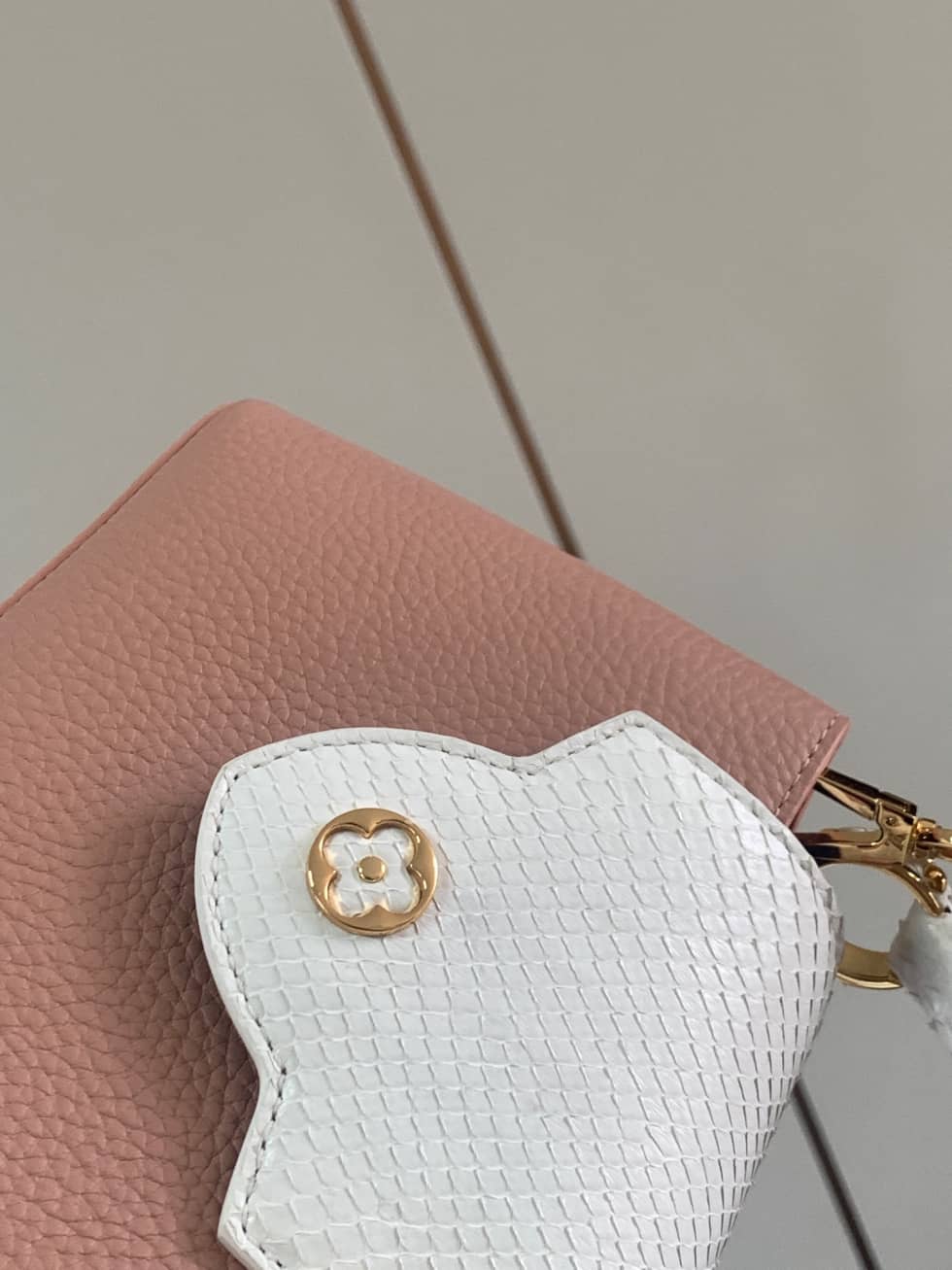 Louis Vuitton Galet Capucines Mini Bag
