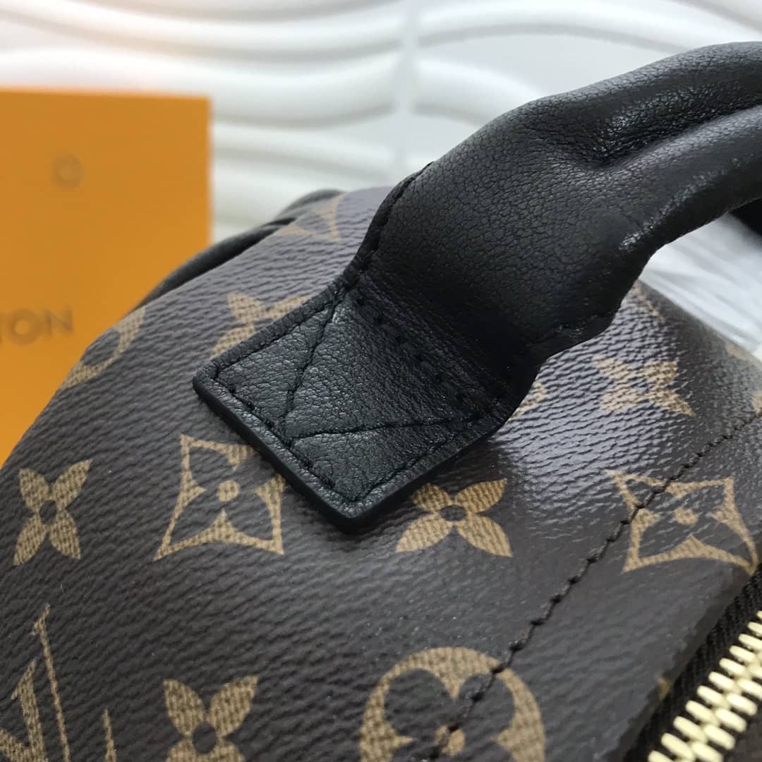 LV Backpack Replica  Palm Springs PM Monogram Reverse M44870