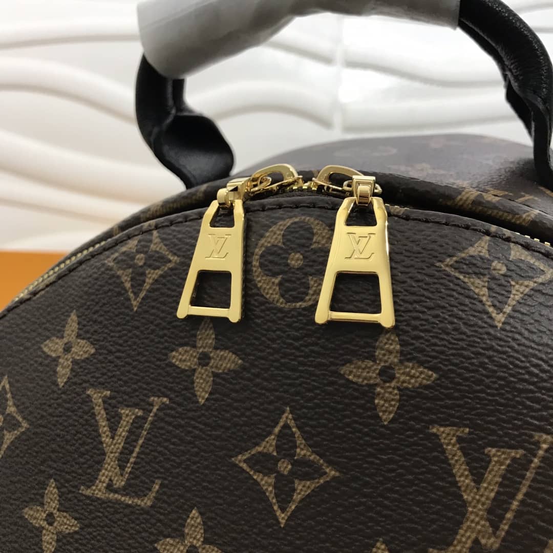 Louis Vuitton Monogram Canvas MM Palm Springs Replica Backpack M44874