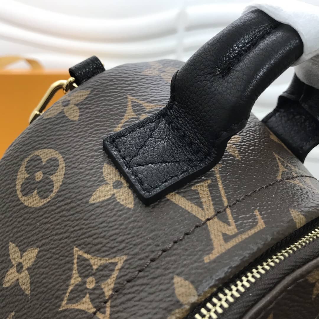 Louis Vuitton Palm Springs Mini Replica Backpack Brown M44873