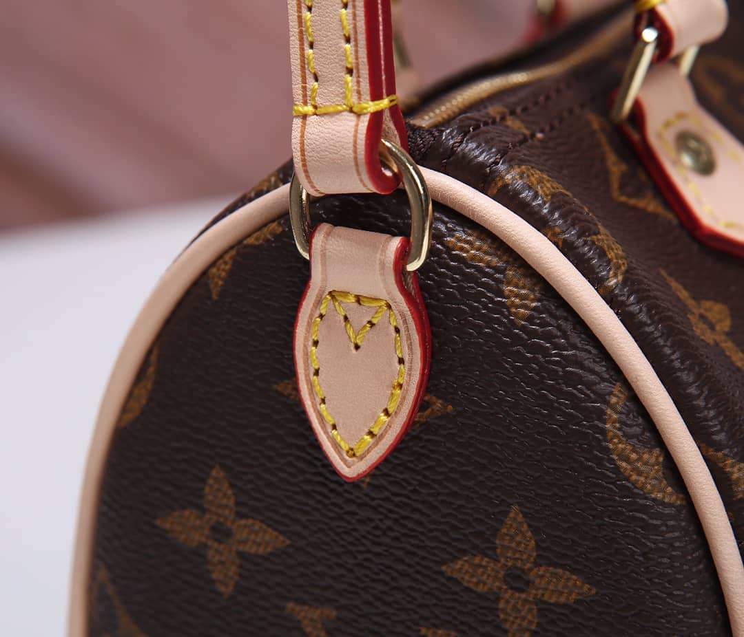 Louis Vuitton Crossbody Dupe Nano Speedy Monogram Canvas M61252
