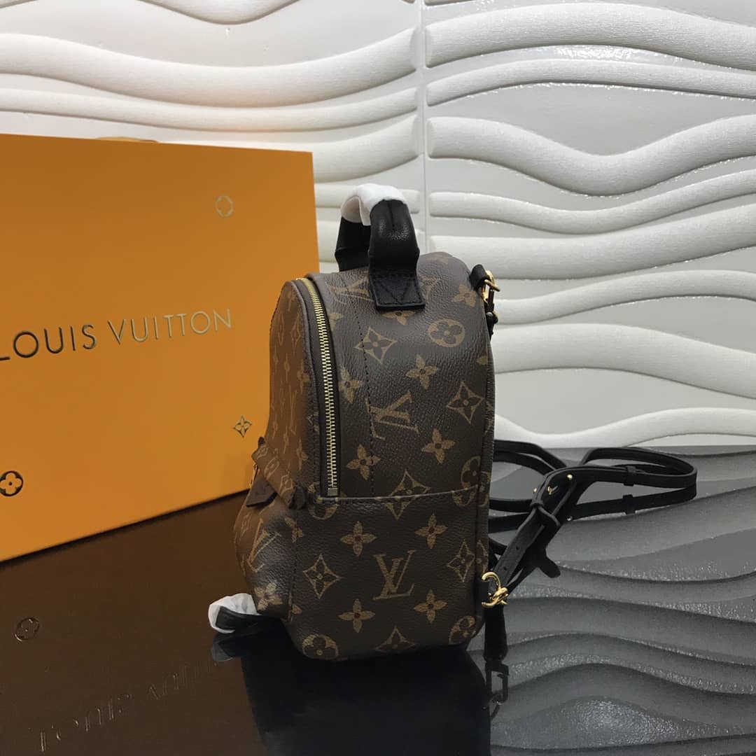 Louis Vuitton Palm Springs Mini Replica Backpack Brown M44873