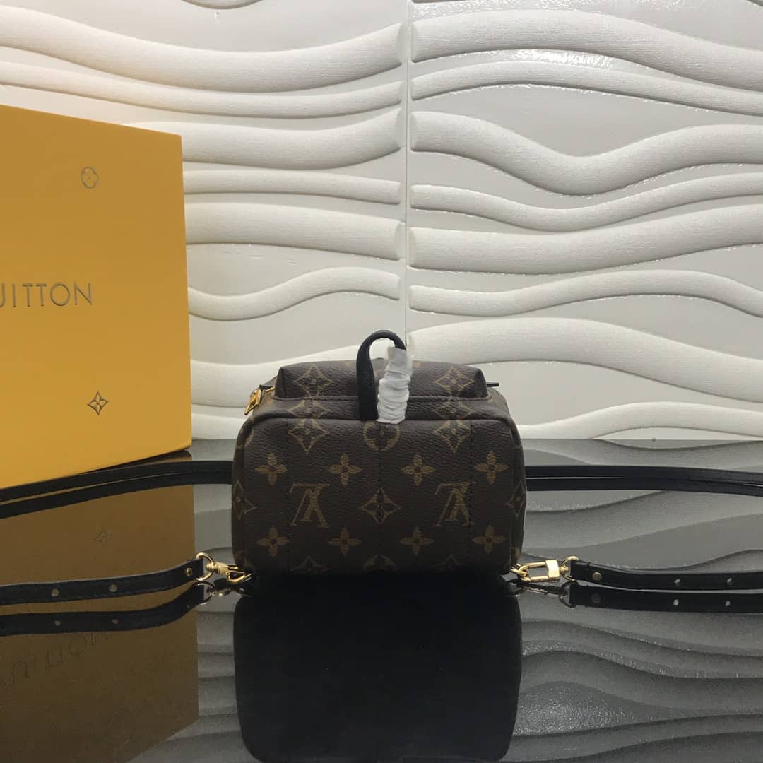 Louis Vuitton Monogram Palm Springs Mini Replica Backpack M41562