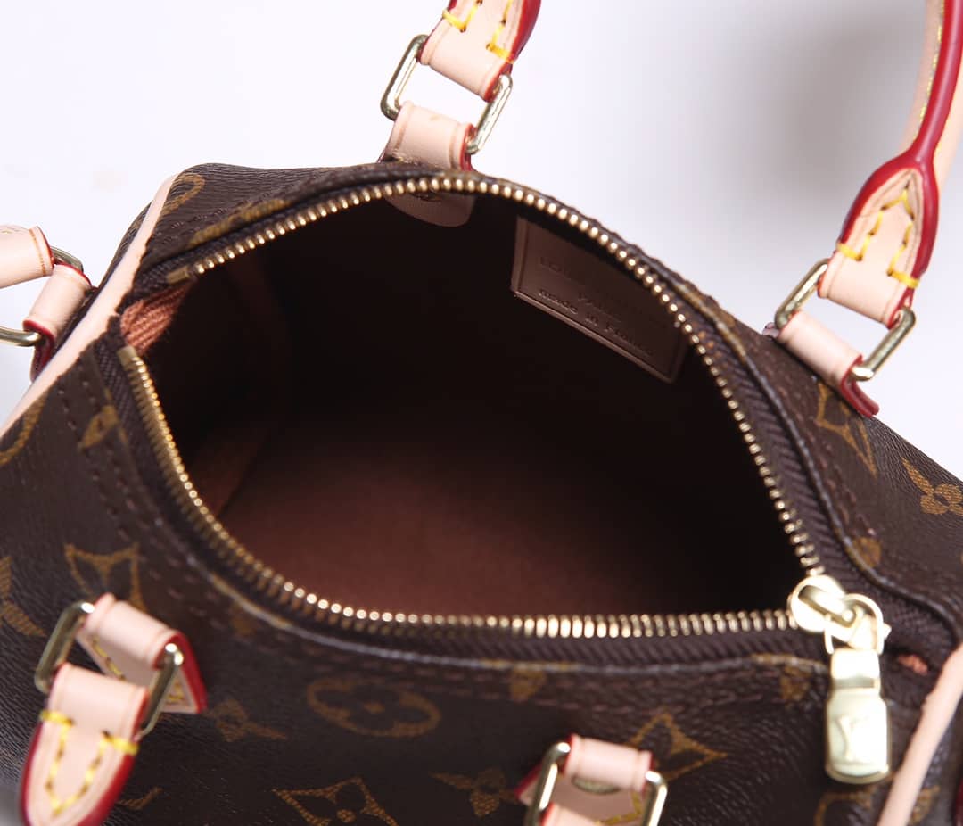 Louis Vuitton Crossbody Dupe Nano Speedy Monogram Canvas M61252