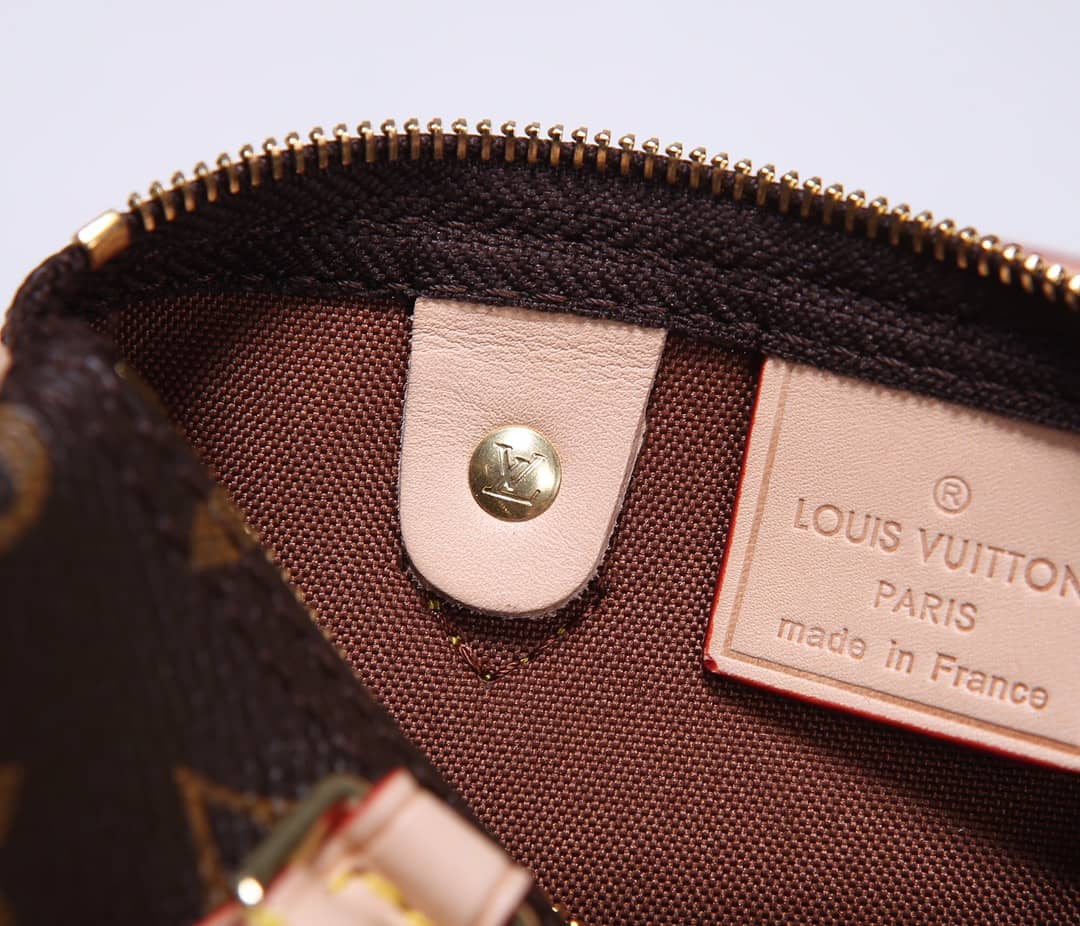 Louis Vuitton Crossbody Dupe Nano Speedy Monogram Canvas M61252