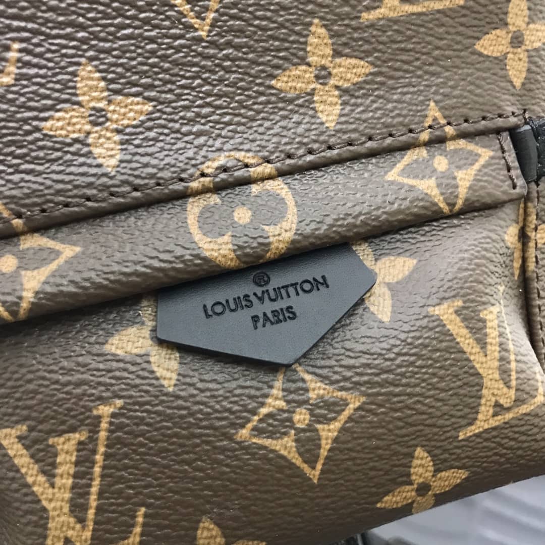 Louis Vuitton Palm Springs Mini Replica Backpack Brown M44873