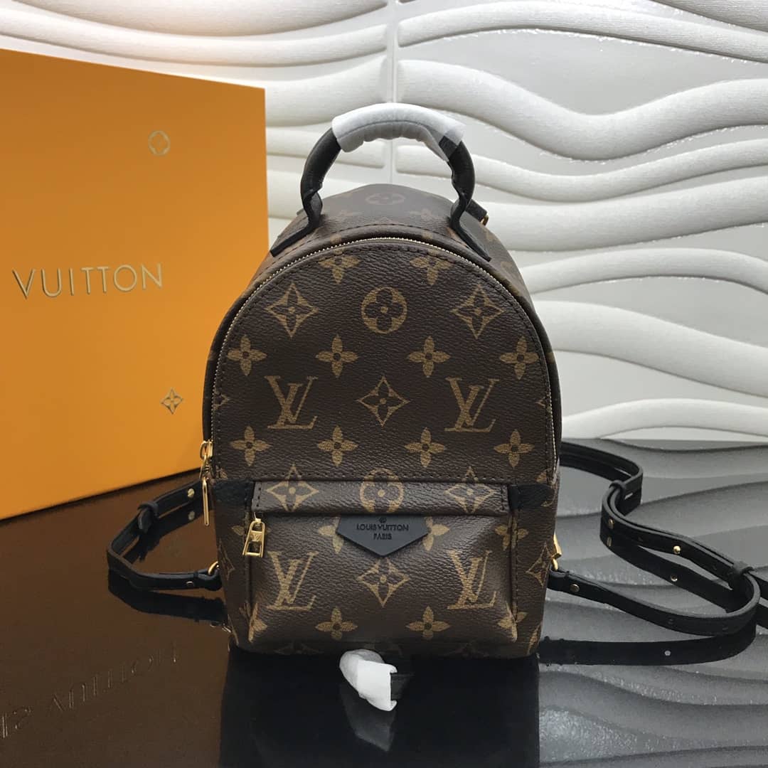 Louis Vuitton Palm Springs Mini Replica Backpack Brown M44873