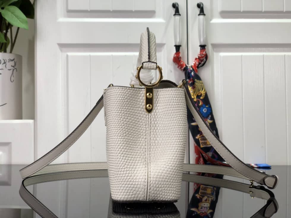 Louis Vuitton Capucines Mini Collection N98093 Replica Shoulder Bag