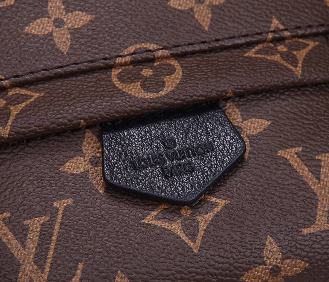 LV Backpack Replica Palm Springs Mini Brown M44873