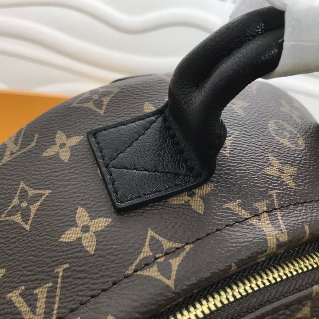 Louis Vuitton Monogram Canvas MM Palm Springs Replica Backpack M44874