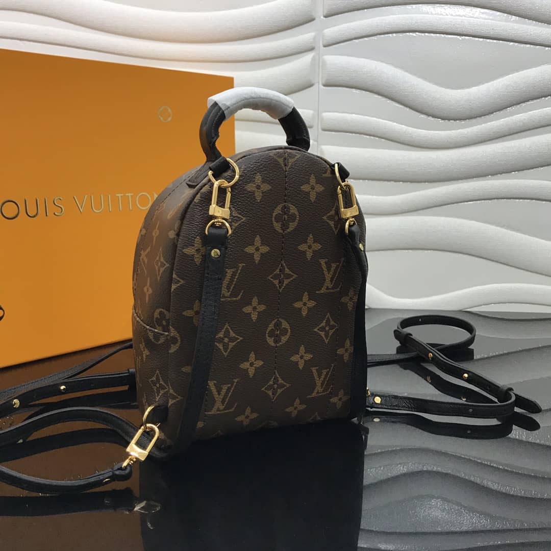 Louis Vuitton Palm Springs Mini Replica Backpack Brown M44873