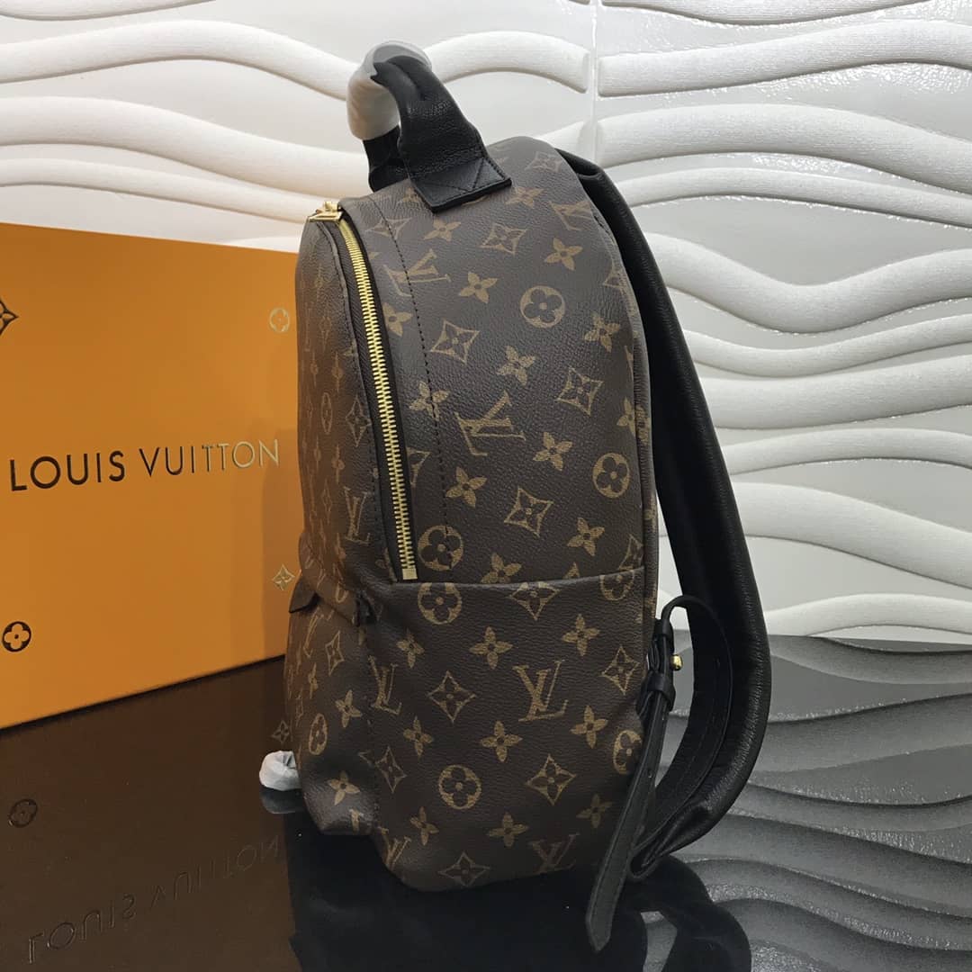 Louis Vuitton Monogram Canvas MM Palm Springs Replica Backpack M44874