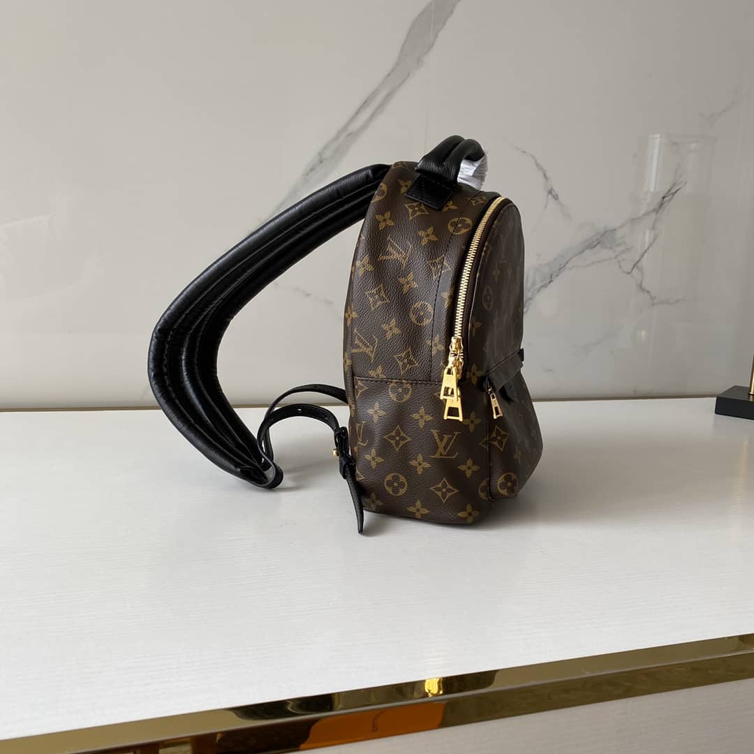 Louis Vuitton Monogram Palm Springs PM Replica Backpack M41560