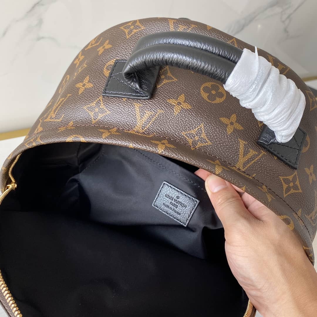 Louis Vuitton Monogram Canvas Palm Springs Replica Backpack MM M41561