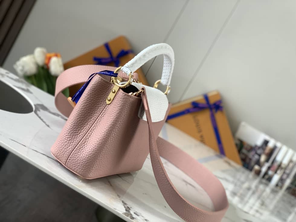 Louis Vuitton Galet Capucines Mini Bag