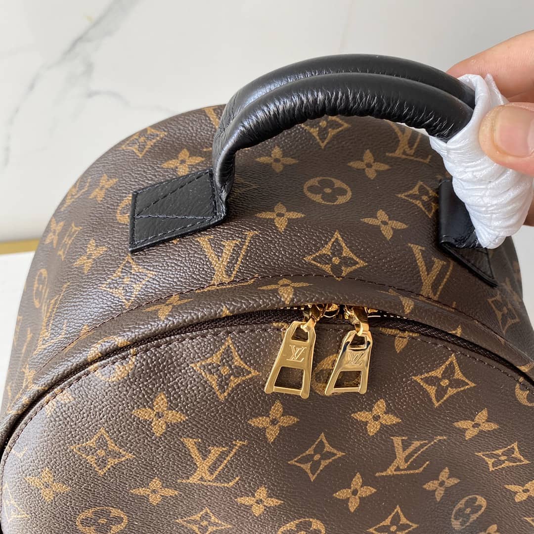 Louis Vuitton Monogram Canvas Palm Springs Replica Backpack MM M41561