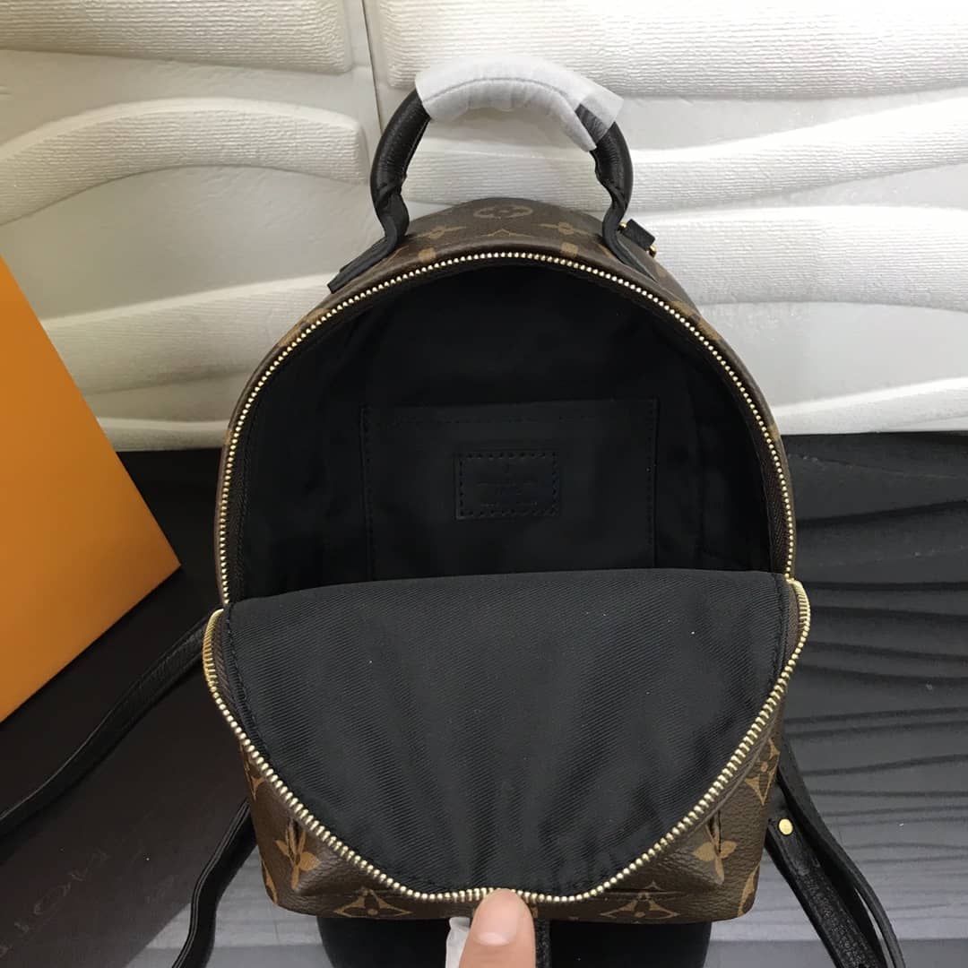 Louis Vuitton Palm Springs Mini Replica Backpack Brown M44873