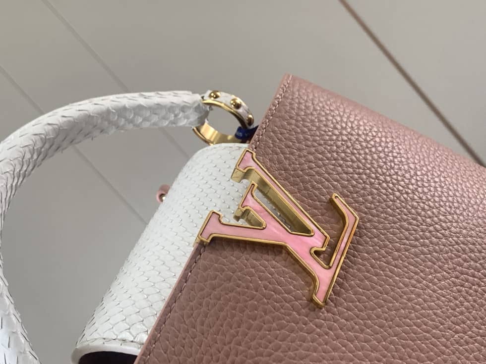 Louis Vuitton Galet Capucines Mini Bag