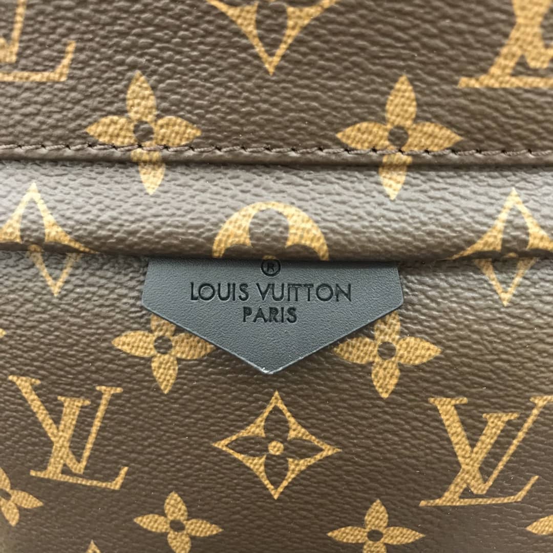Louis Vuitton Monogram Palm Springs Replica Backpack PM M44871