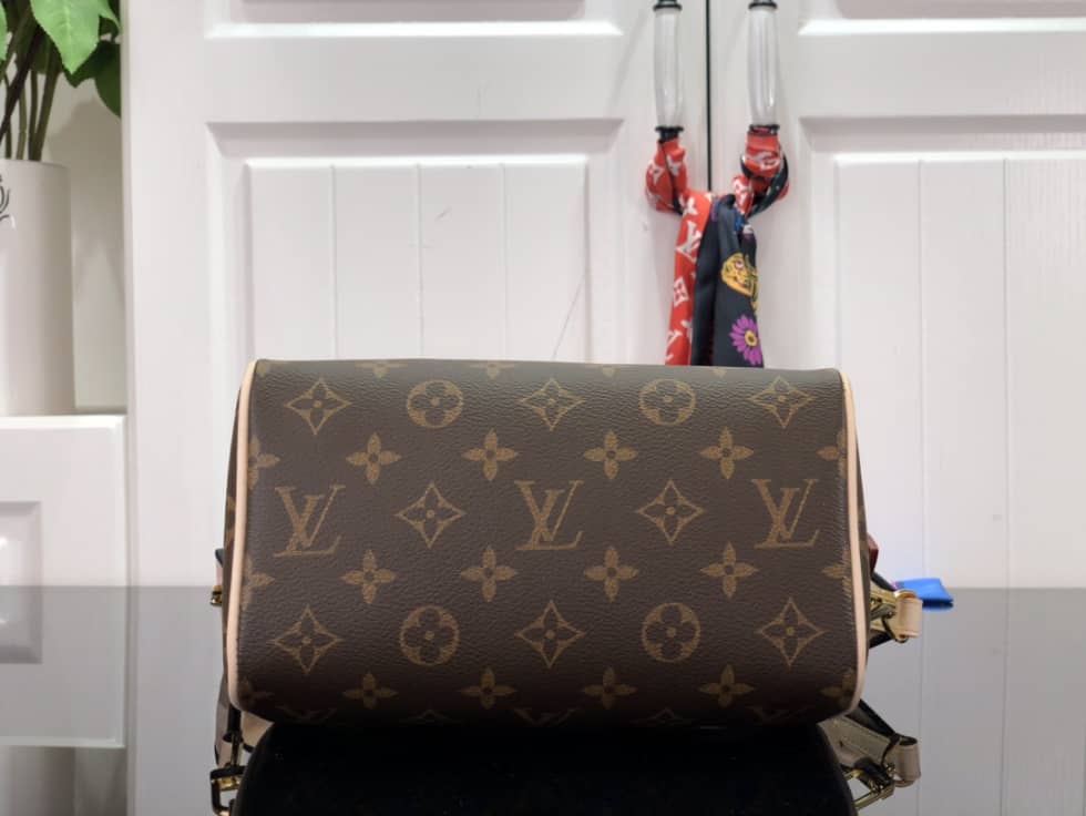 Louis Vuitton Crossbody Dupe Monogram Canvas Speedy 20 Black M45957