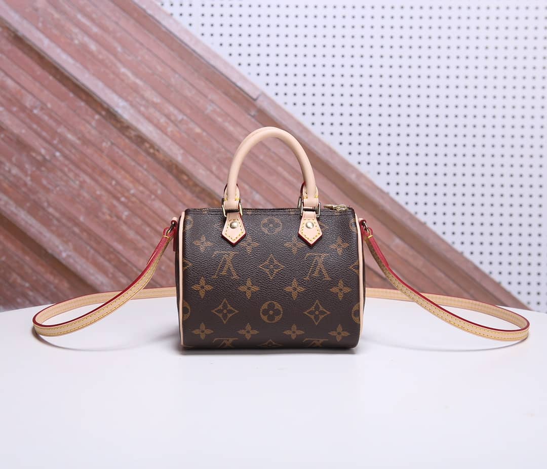 Louis Vuitton Crossbody Dupe Nano Speedy Monogram Canvas M61252