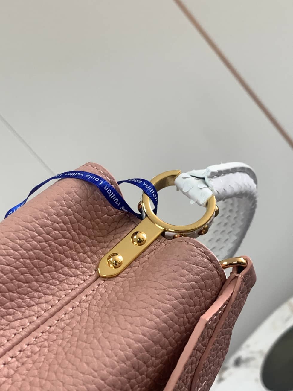 Louis Vuitton Galet Capucines Mini Bag