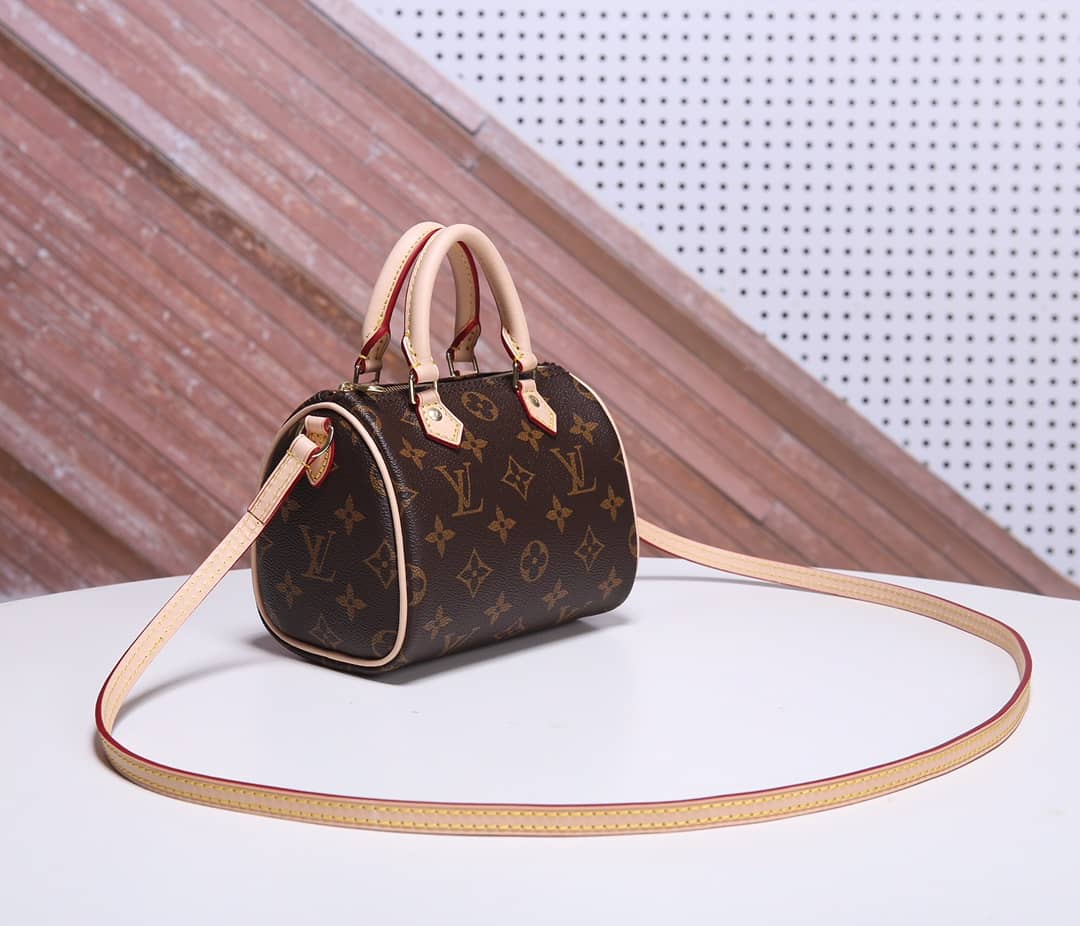 Louis Vuitton Crossbody Dupe Nano Speedy Monogram Canvas M61252