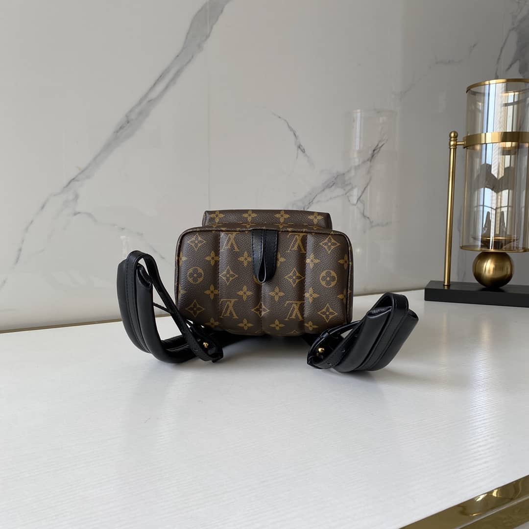 Louis Vuitton Monogram Palm Springs PM Replica Backpack M41560