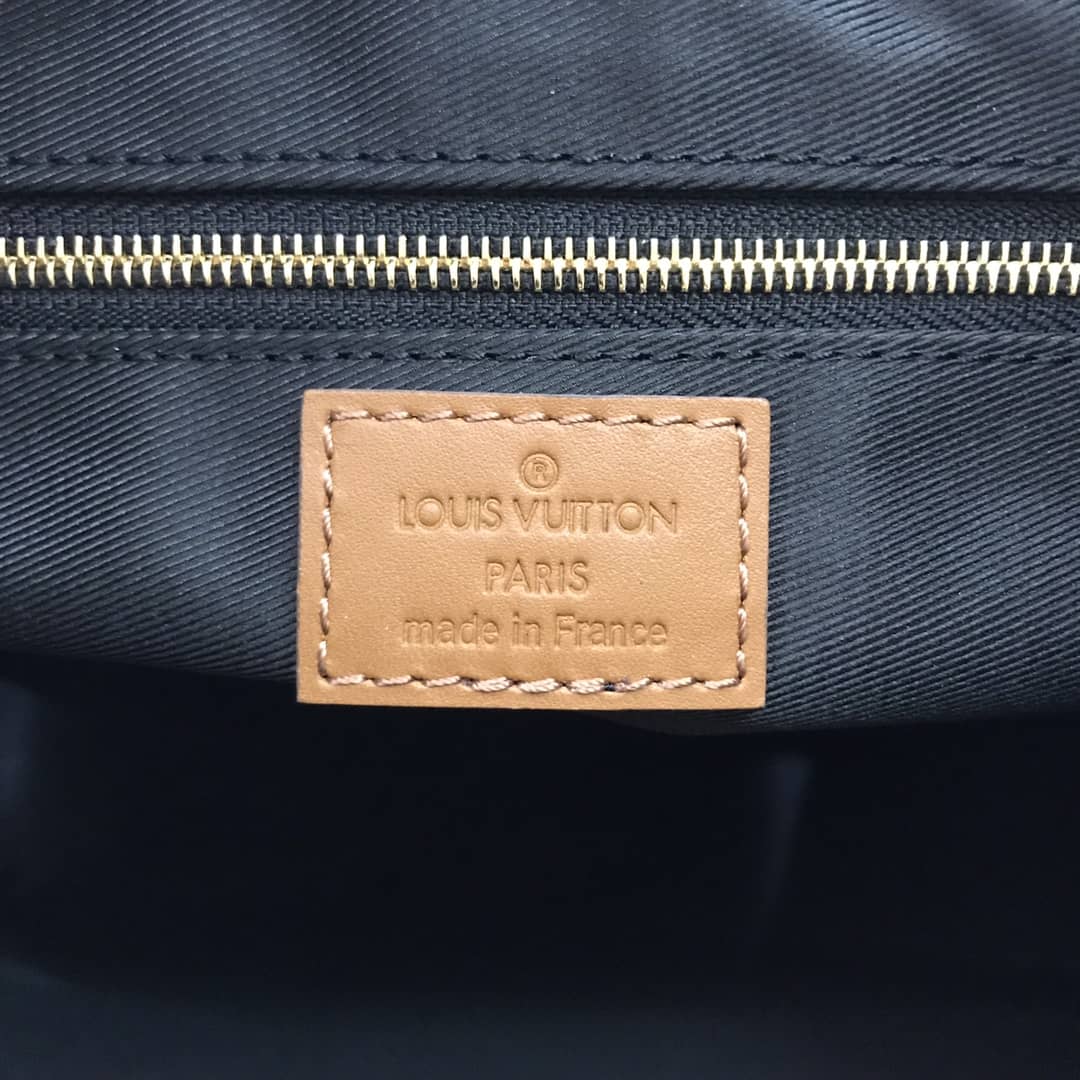 Louis Vuitton Dauphine MM Replica Hobo M45196