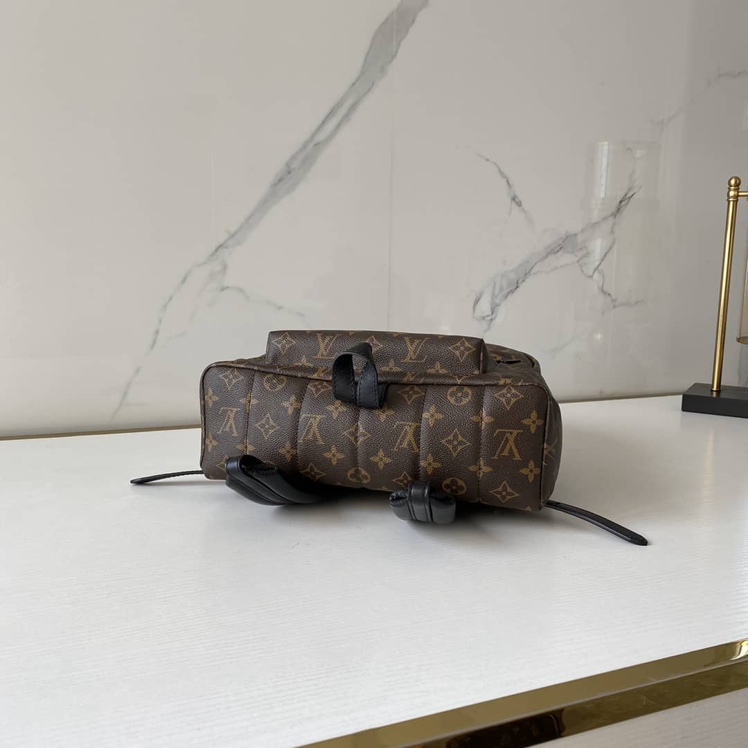 Louis Vuitton Monogram Canvas Palm Springs Replica Backpack MM M41561