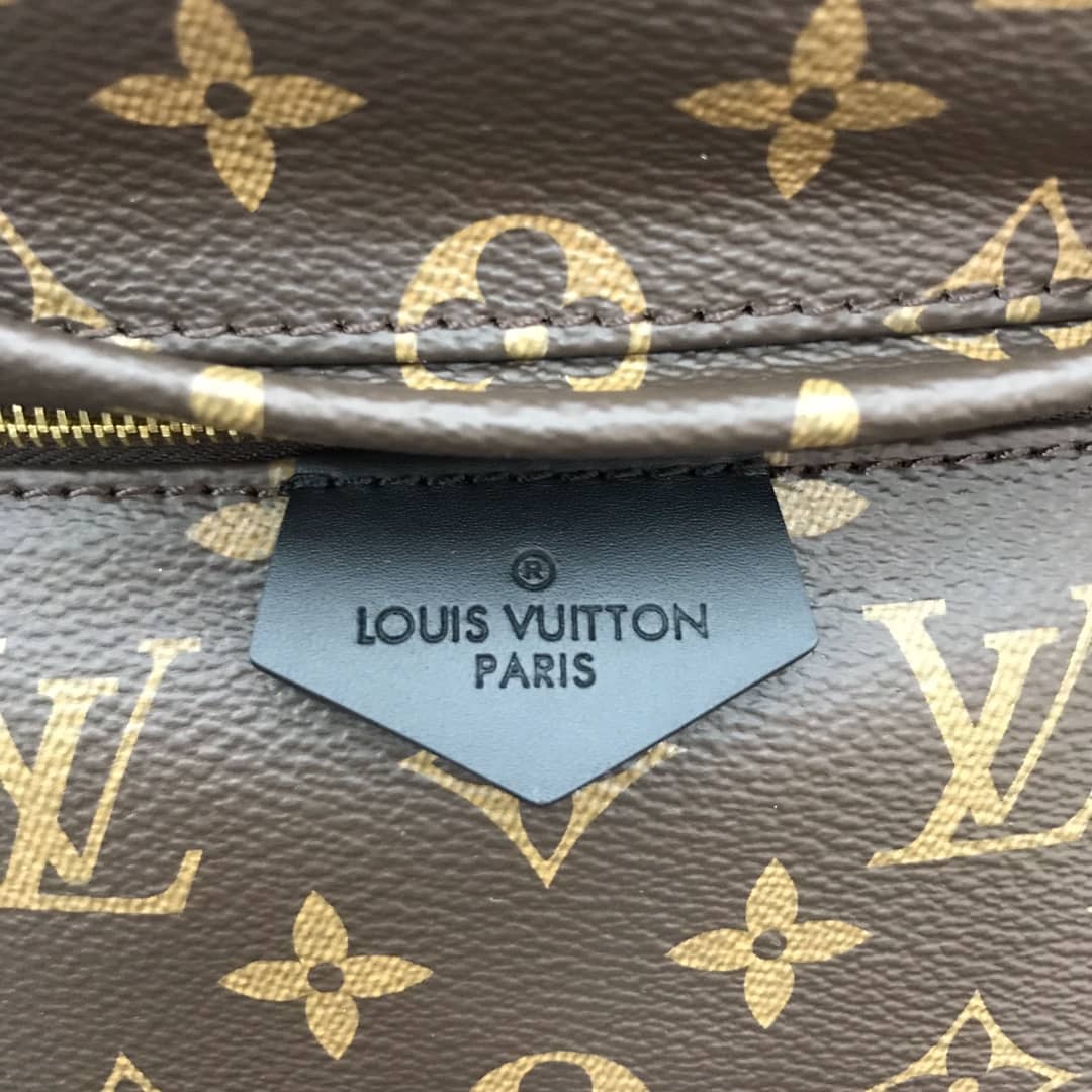 Louis Vuitton Monogram Canvas MM Palm Springs Replica Backpack M44874