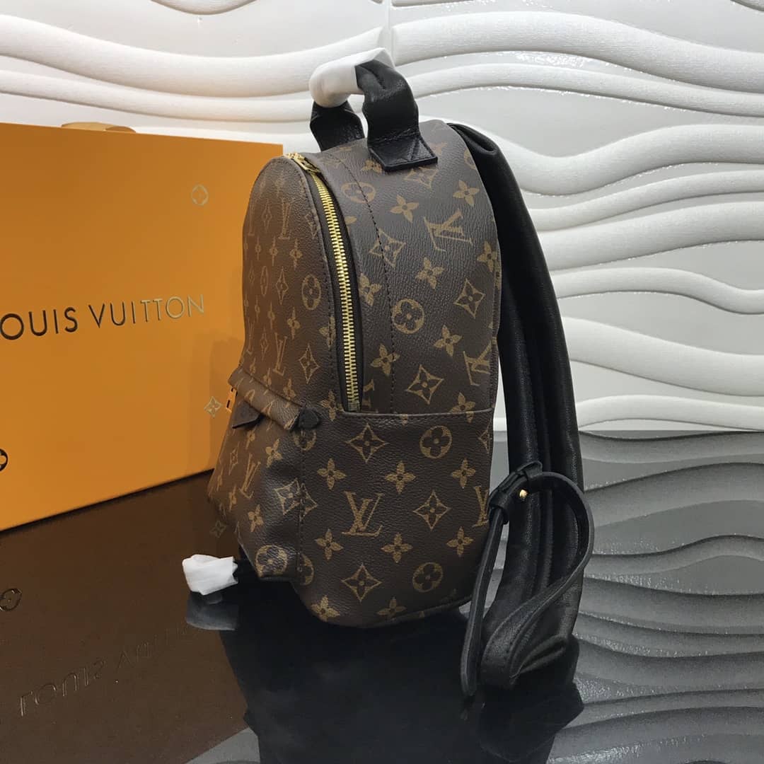 Louis Vuitton Monogram Palm Springs Replica Backpack PM M44871