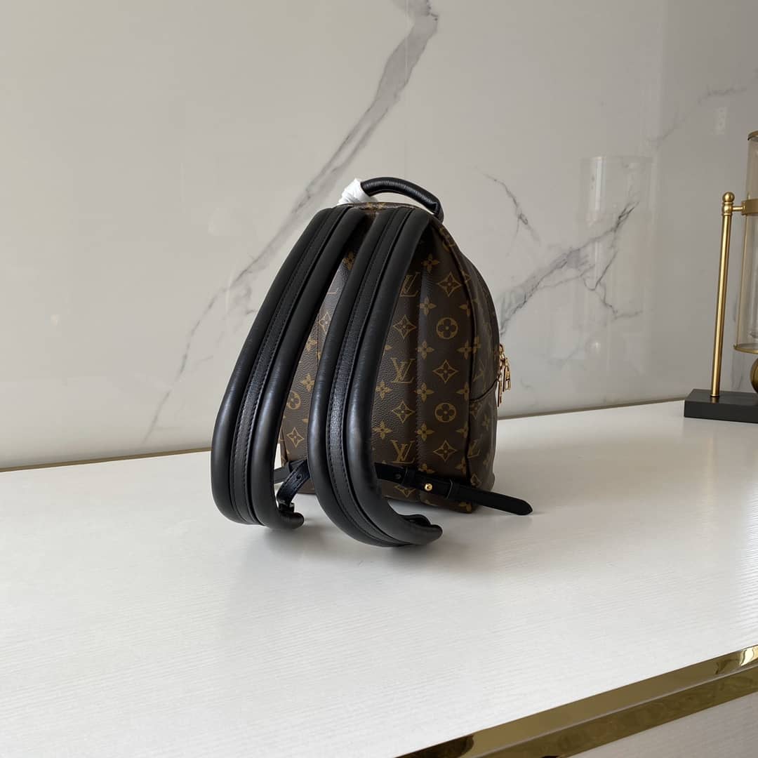 Louis Vuitton Monogram Palm Springs PM Replica Backpack M41560