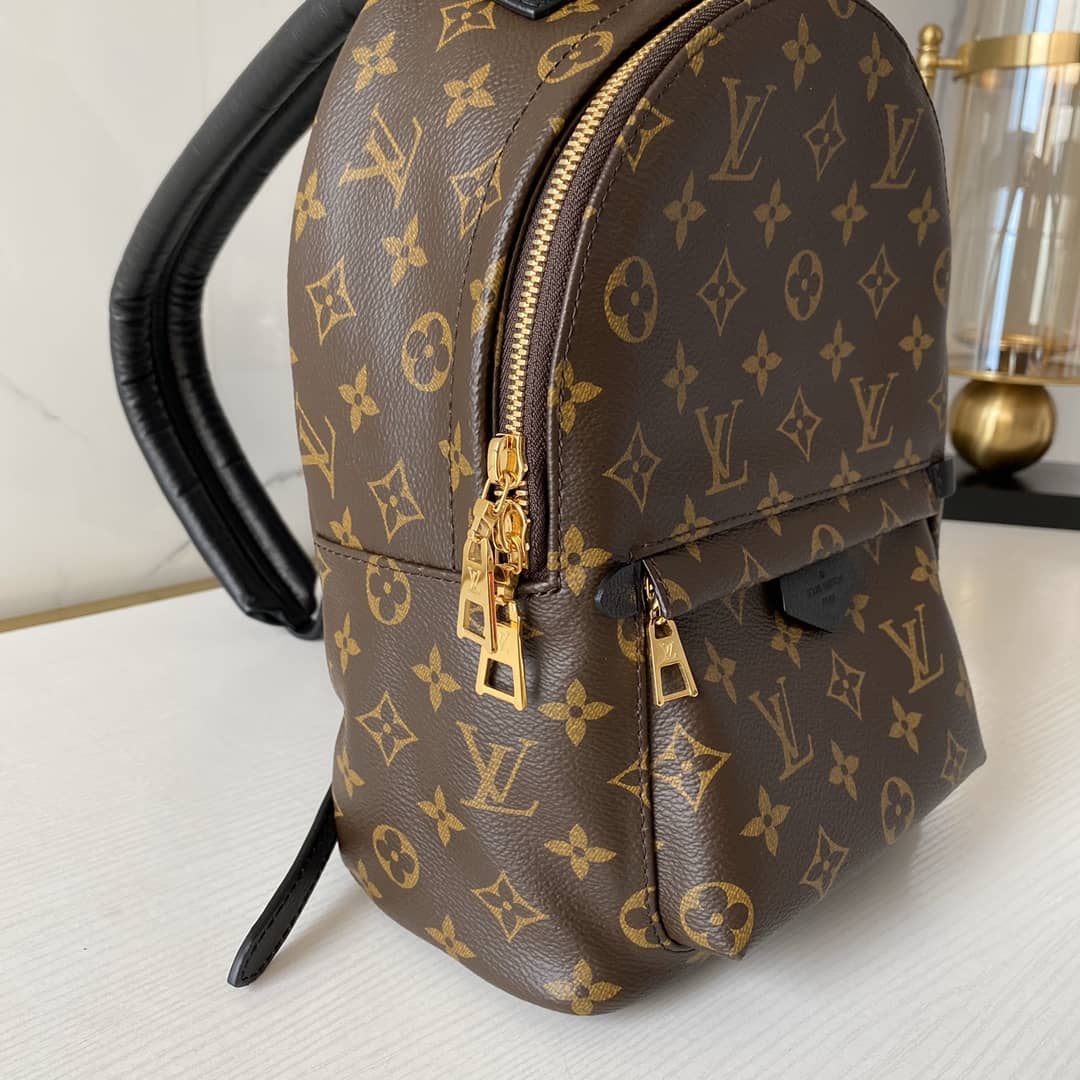 Louis Vuitton Monogram Palm Springs PM Replica Backpack M41560