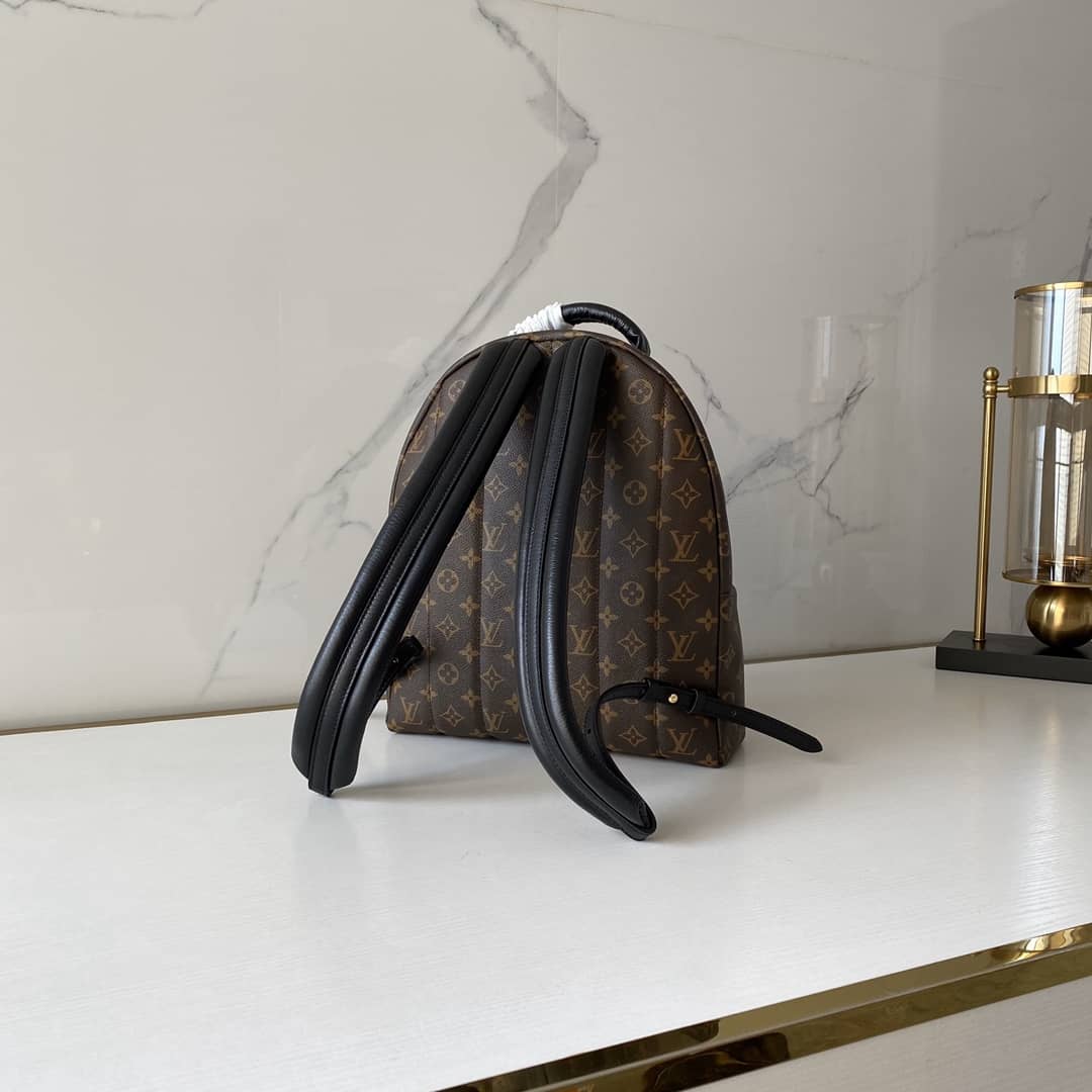 Louis Vuitton Monogram Canvas Palm Springs Replica Backpack MM M41561