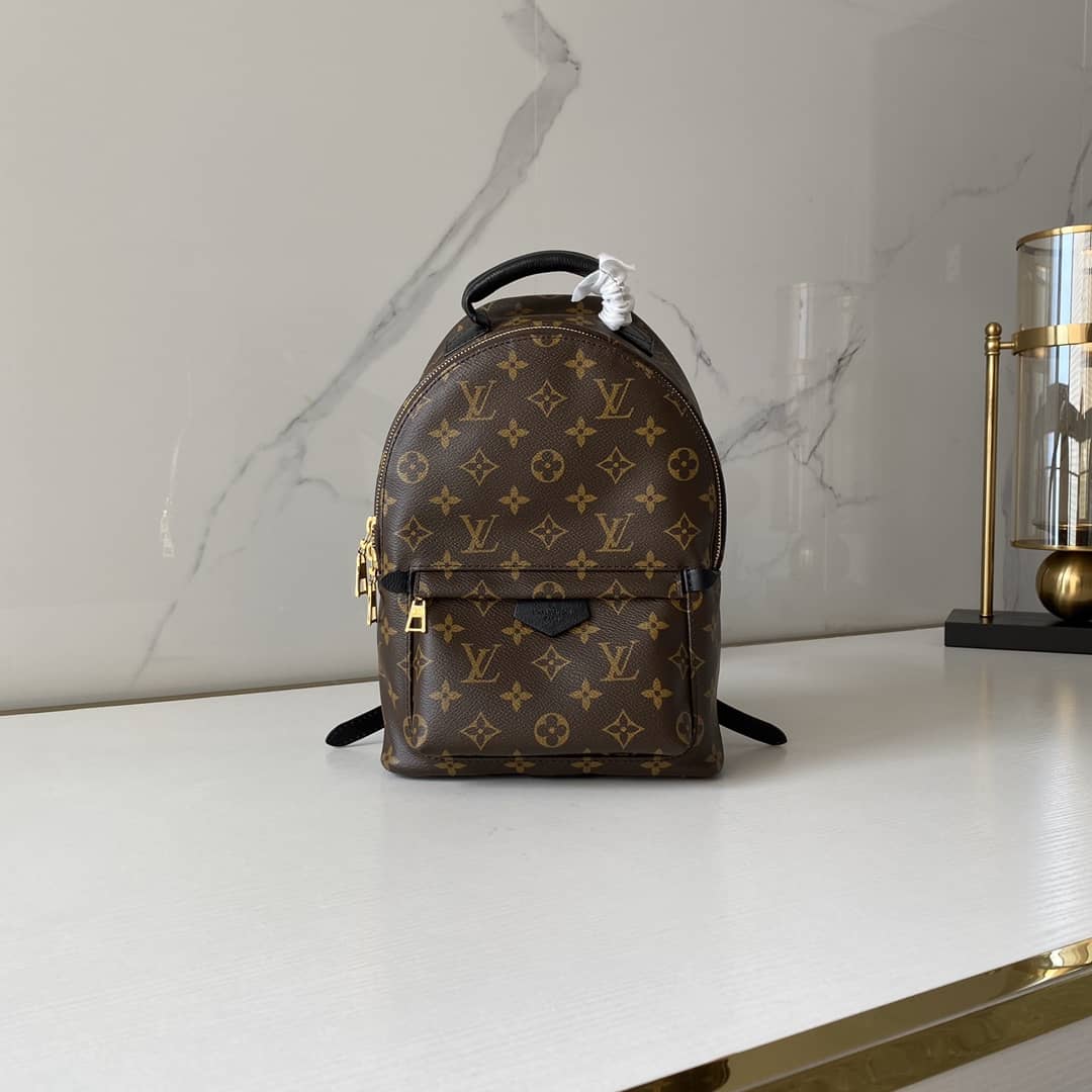 Louis Vuitton Monogram Palm Springs PM Replica Backpack M41560