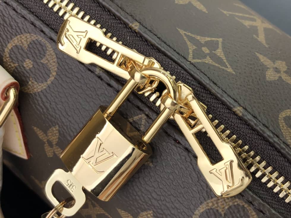 Louis Vuitton Crossbody Dupe Monogram Canvas Speedy 20 Red M45957