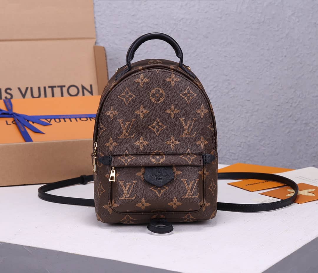 LV Backpack Replica Palm Springs Mini Brown M44873