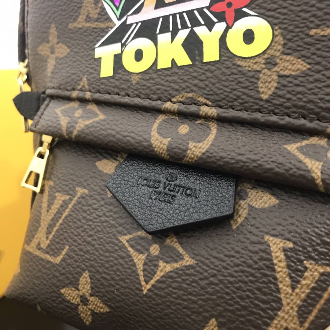 Louis Vuitton Monogram Palm Springs Mini Replica Backpack M41562