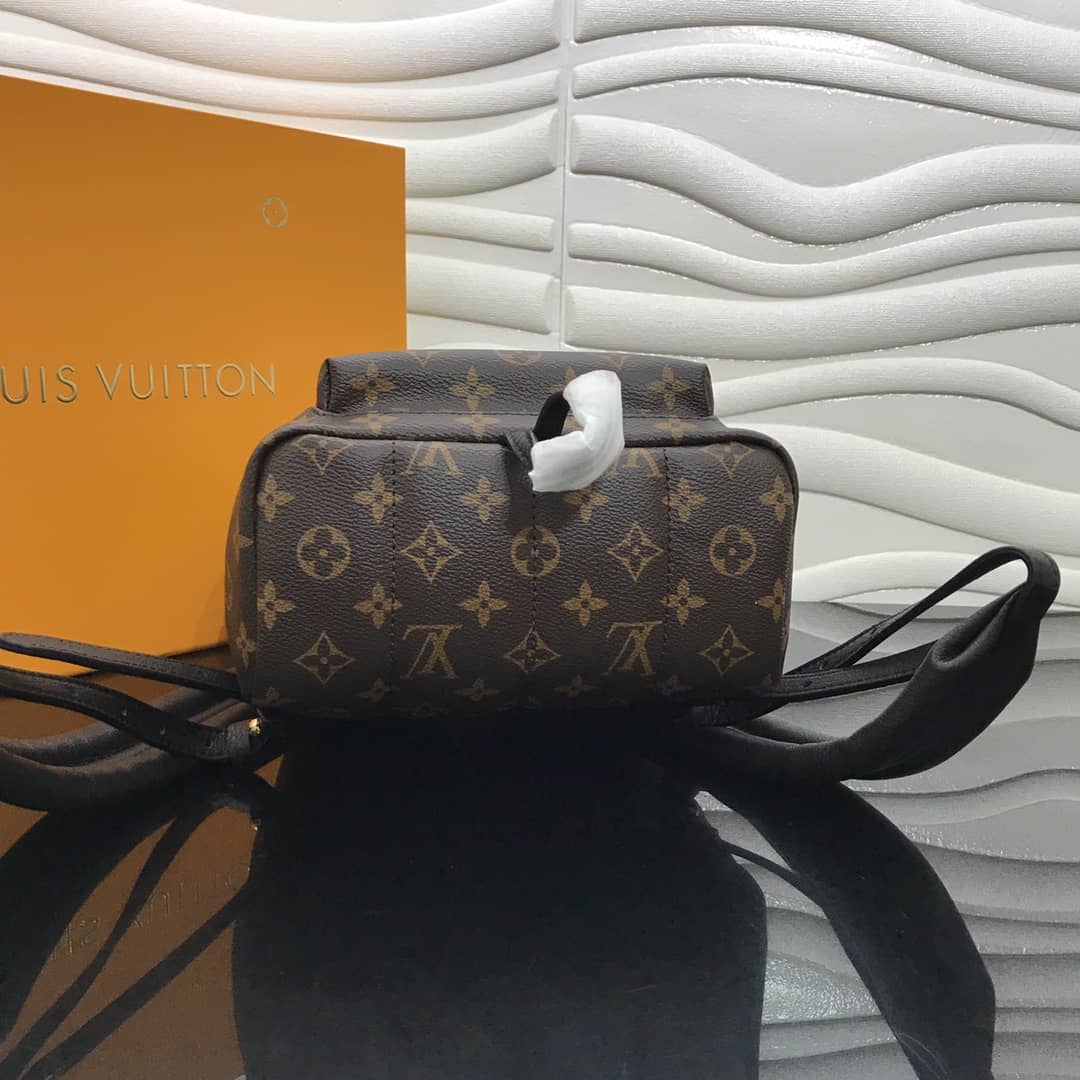 Louis Vuitton Monogram Palm Springs Replica Backpack PM M44871