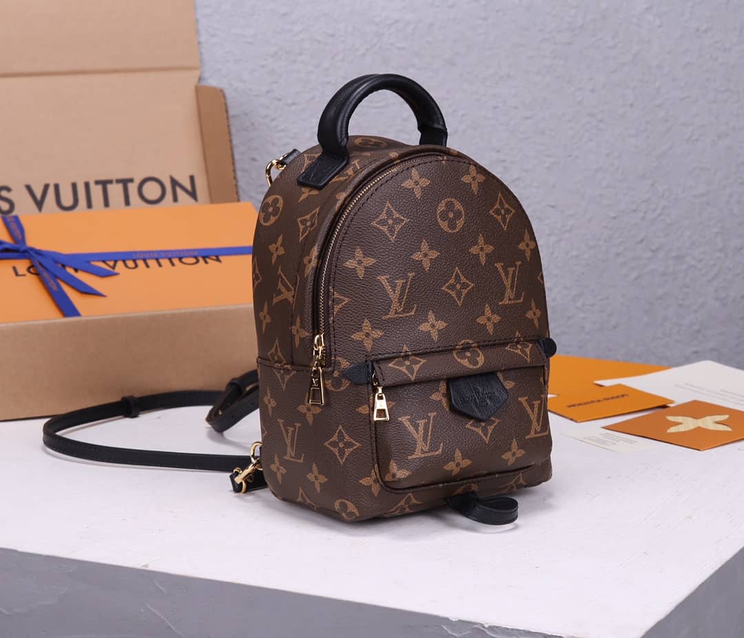 LV Backpack Replica Palm Springs Mini Brown M44873