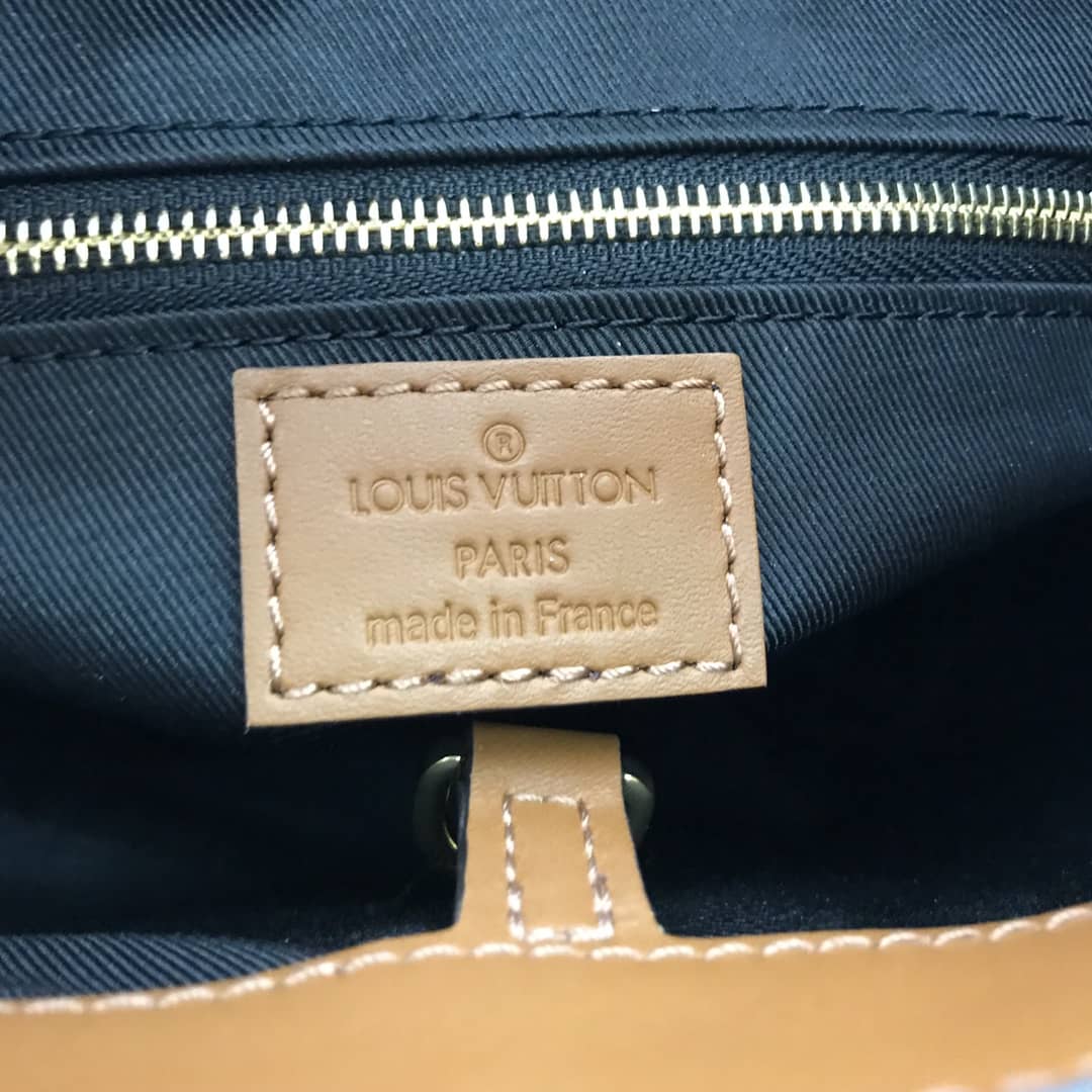 Louis Vuitton Monogram Dauphine MM Replica Hobo M45195