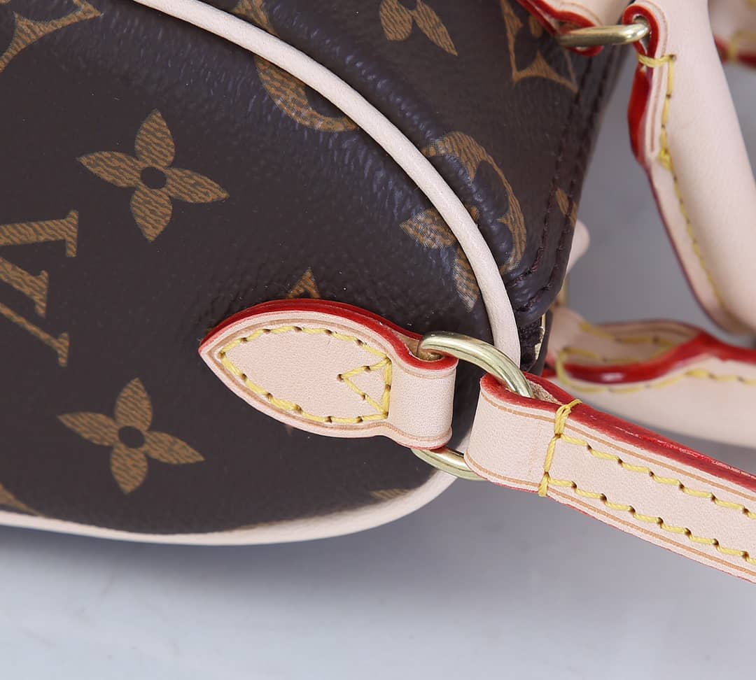 Louis Vuitton Nano Speedy Monogram Canvas M61252