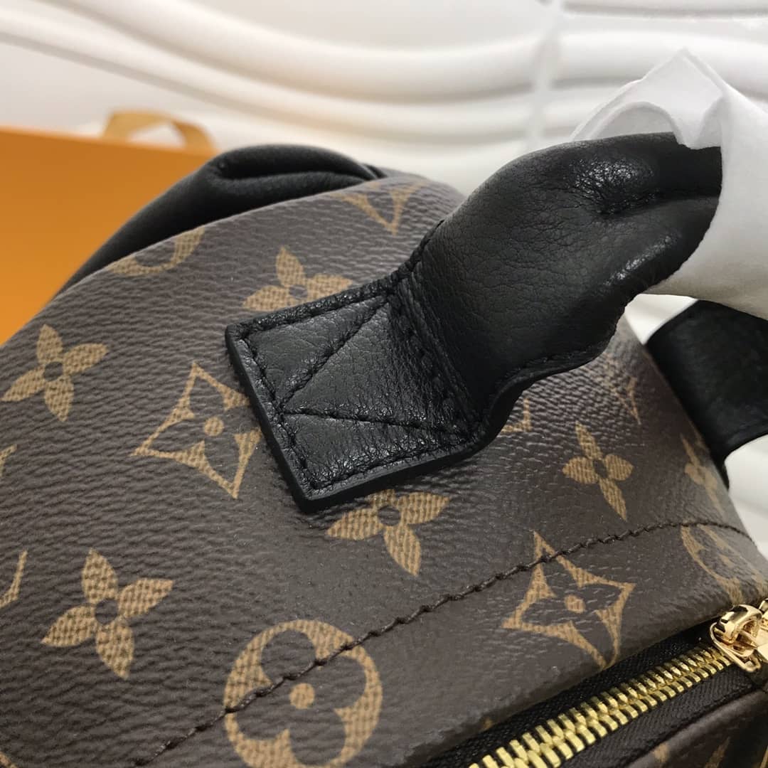 Louis Vuitton Monogram Palm Springs Replica Backpack PM M44871