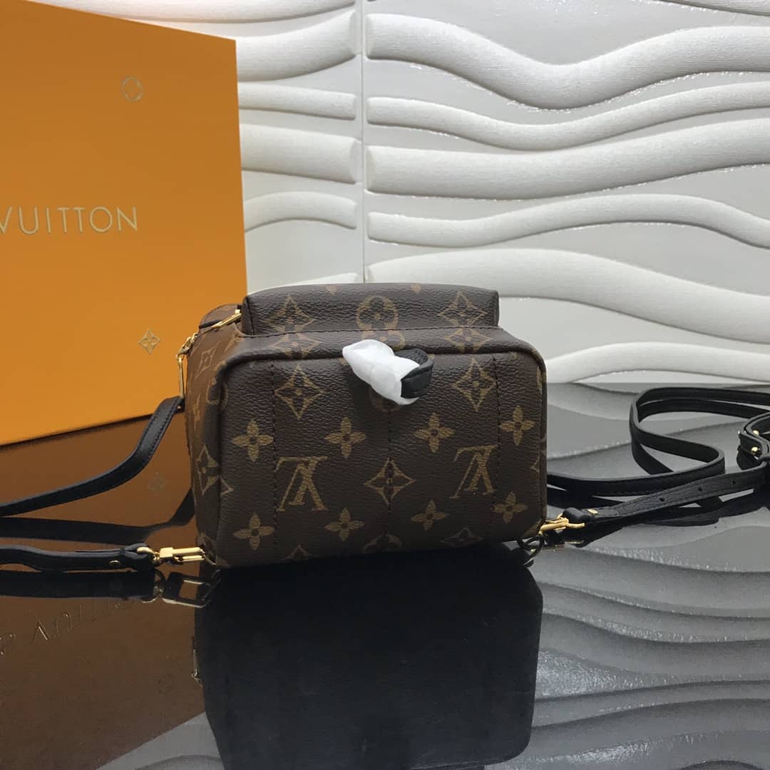 Louis Vuitton Palm Springs Mini Replica Backpack Brown M44873