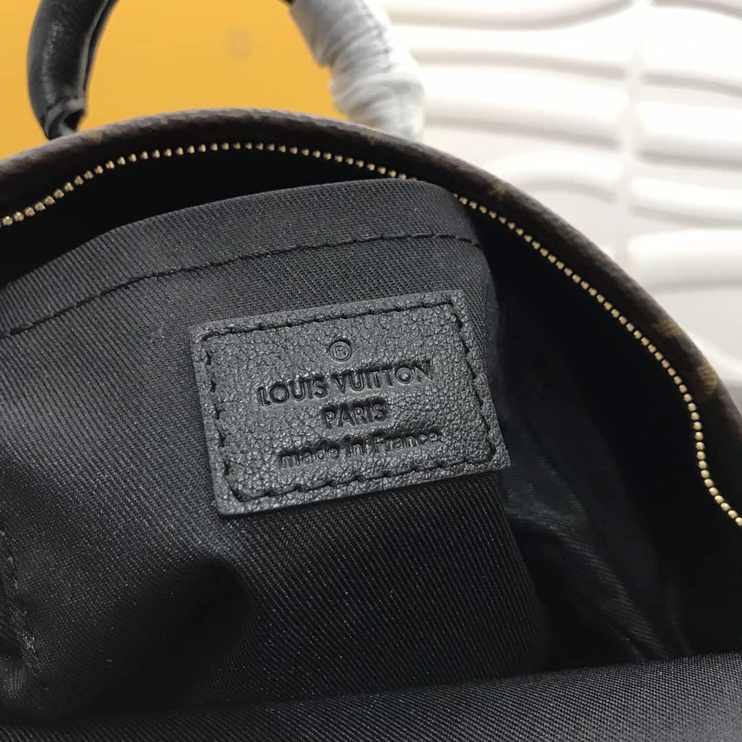 Louis Vuitton Monogram Palm Springs Mini Replica Backpack M41562