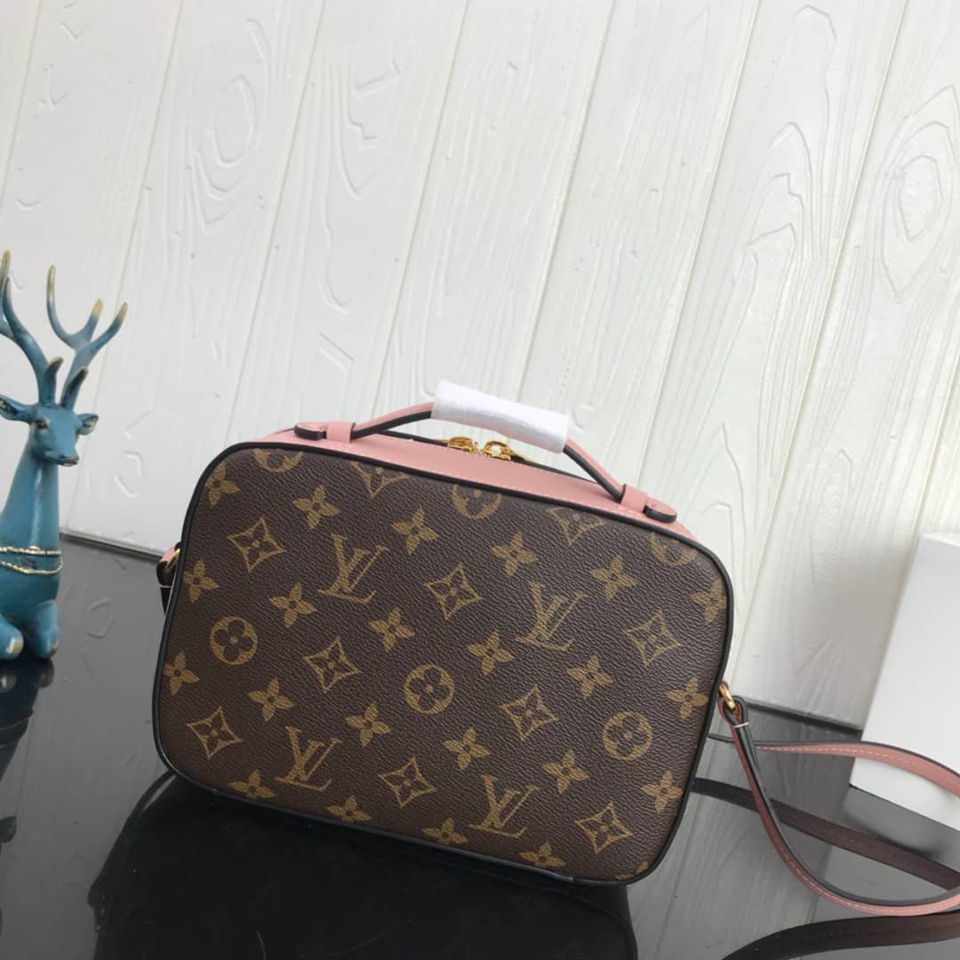 Louis Vuitton Canvas Saintonge Replica Camera Bag Pink M43555